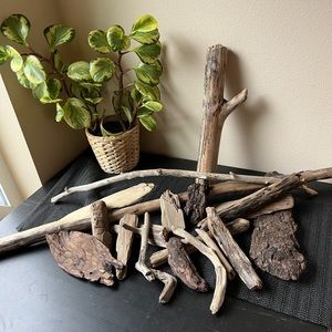 Bundle of Seasoned Driftwood for Crafts Reptile Tanks Projects Garden Untreated